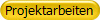 Projektarbeiten